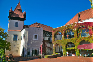 Castle of Hagenberg
