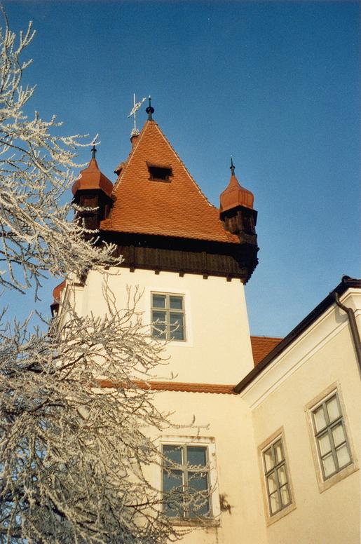 Schloss_Winter_01.jpg
